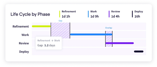 Jellyfish Lifecycle Explorer