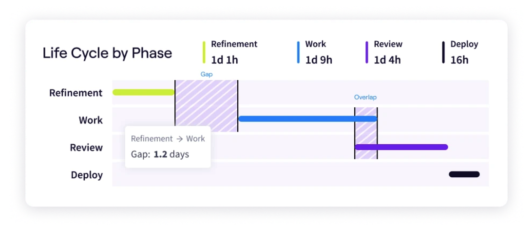 Jellyfish Life Cycle by Phase